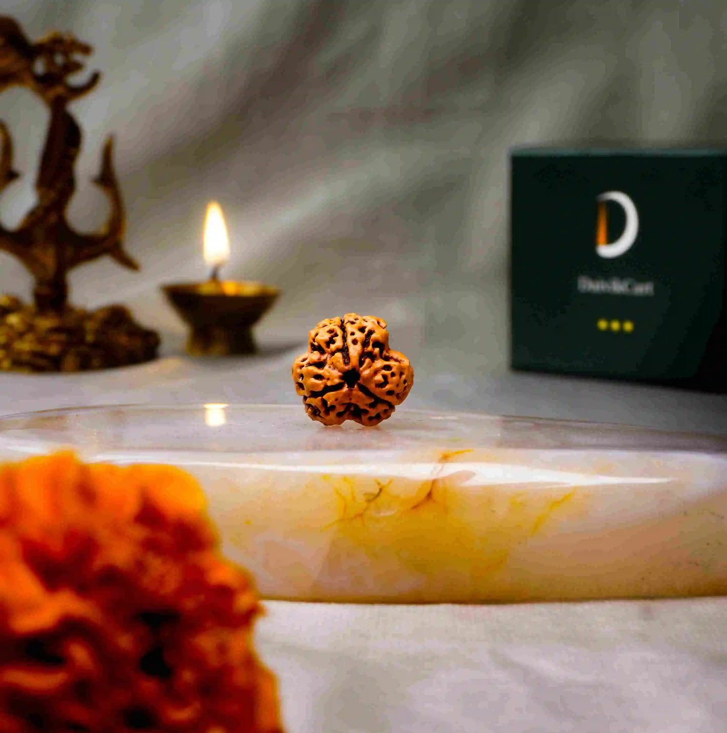 3 Mukhi Rudraksha