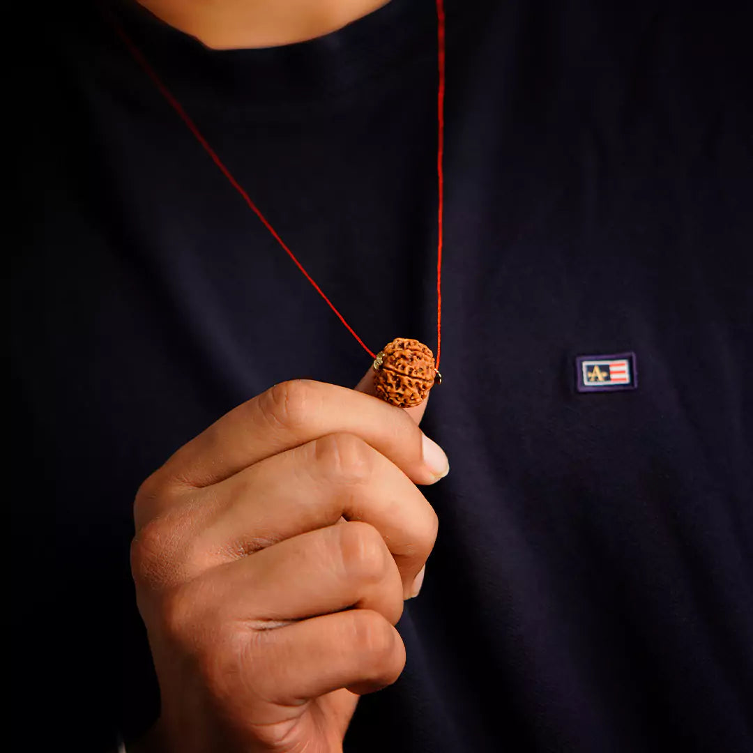 Original 7 Mukhi Nepali Rudraksha