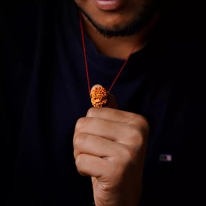 Original 10 Mukhi Nepali Rudraksha