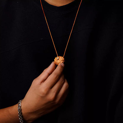 Orginal 11 Mukhi Nepali Rudraksha