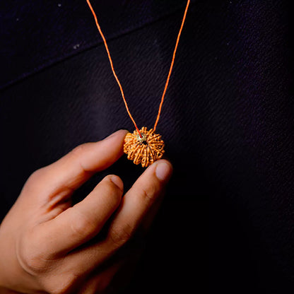Orginal 12 Mukhi Nepali Rudraksha