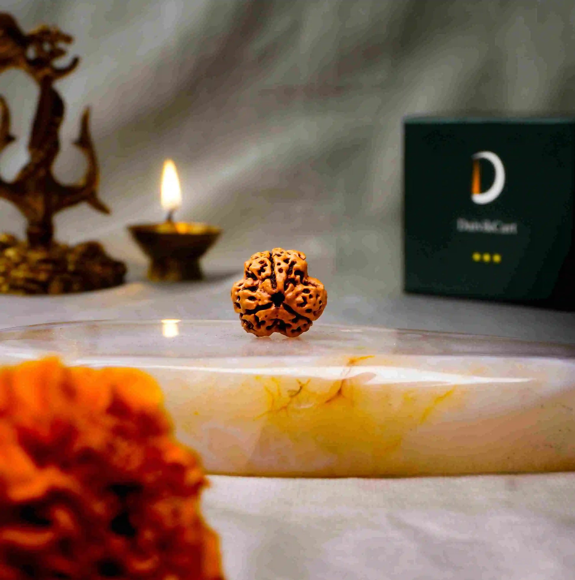 3 Mukhi Rudraksha
