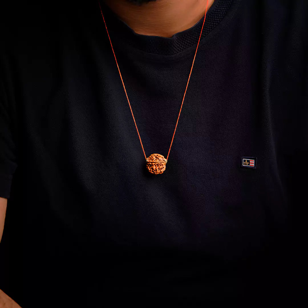 Original 6 Mukhi Nepali Rudraksha