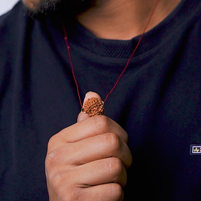 Original 9 Mukhi Nepali Rudraksha