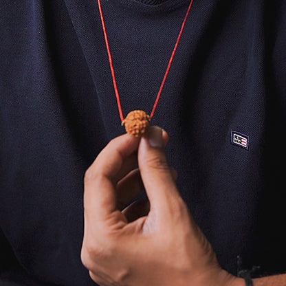 Original 5 Mukhi Nepali Rudraksha | Daivik Cart
